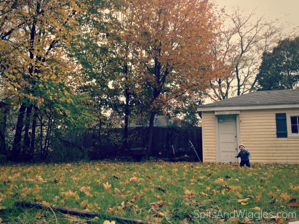 Autumn 2