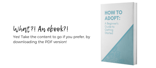 adoption guide ebook insert